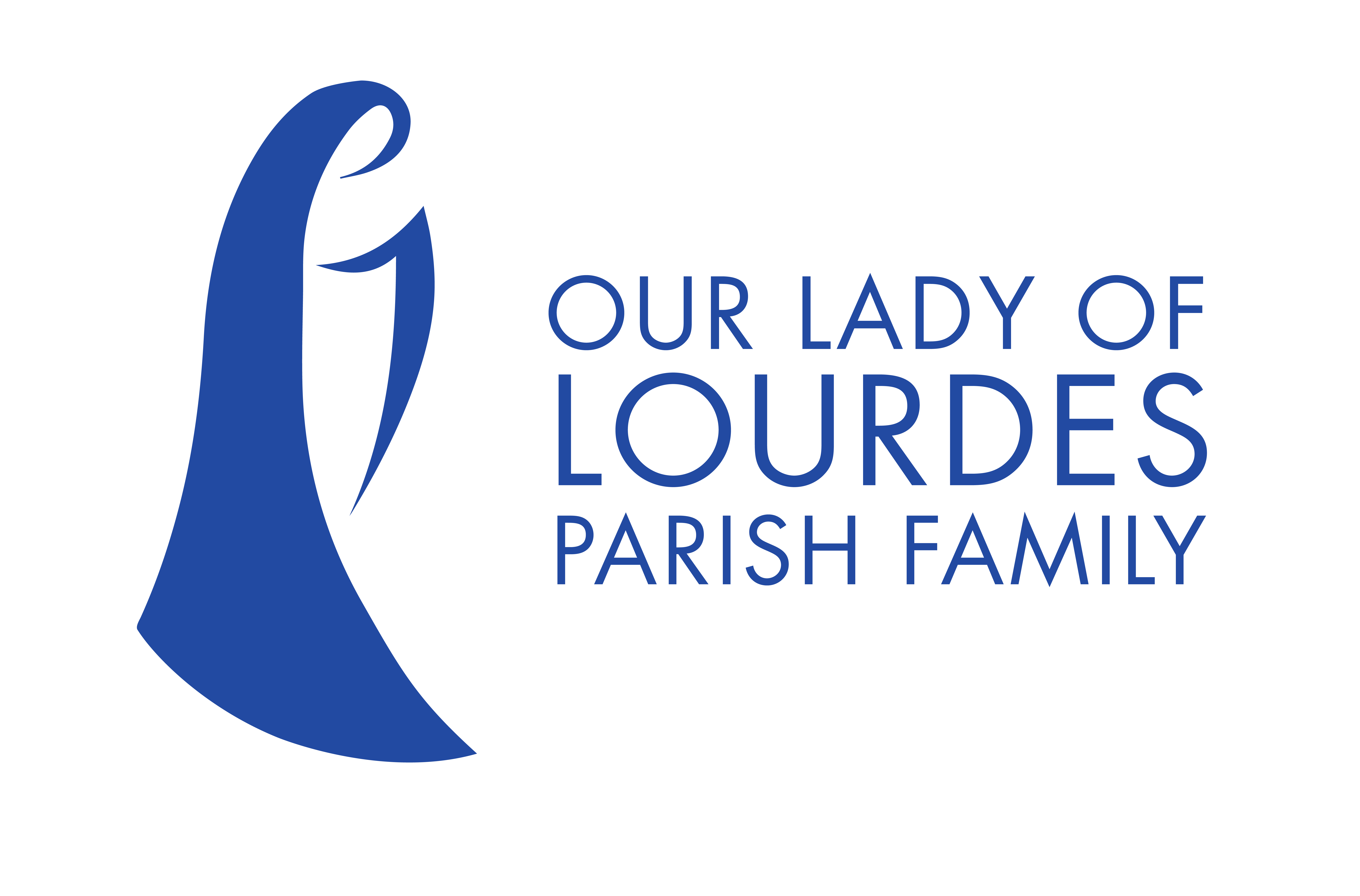 our lady of lourdes dunedin live stream